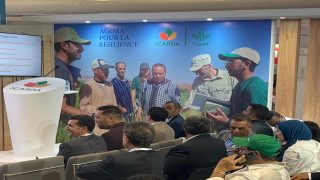 في شراكة استراتيجية بين المعهد الوطني للبحث الزراعي و”إيكاردا”: البحث العلمي في خدمة التنمية يتألق في المعرض الدولي للفلاحة بالمغرب…