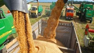 المغرب ينفتح على السوق الكازاخستانية و يستقبل أولى الدفعات من الحبوب