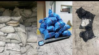 إحباط تهريب نصف طن من الكوكايين في شحنة فحم بميناء طنجة.