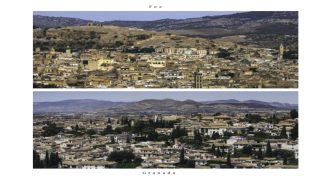 Fès et Grenade : un passé partagé pour construire un avenir commun