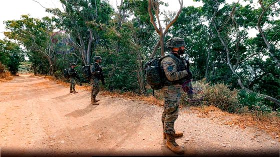 Manœuvres militaires espagnoles près des clôtures de Ceuta et Melilla : une démonstration de présence et de dissuasion
