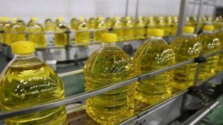 استيراد المغرب لزيت بذور اللفت من روسيا في ظل الإنتعاش التدريجي الذي تشهده العلاقات التجارية بين البلدين