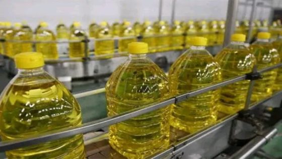 استيراد المغرب لزيت بذور اللفت من روسيا في ظل الإنتعاش التدريجي الذي تشهده العلاقات التجارية بين البلدين