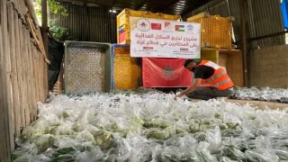 فلسطين : توزيع 500 سلة غذائية على العائلات الأكثر احتياجًا بقطاع غزة بمبادرة من وكالة بيت مال القدس الشريف