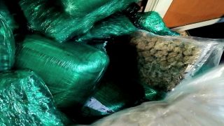 أمن البيضاء يُسقط كنديين تورطا في تهريب “حمولة خضراء” ثقيلة من الماريخوانا!