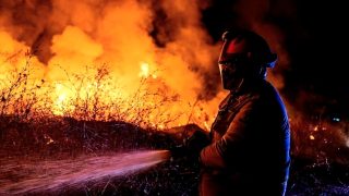 Incendie à Tarifa : évacuation de sept hôtels et de deux campings en Andalousie