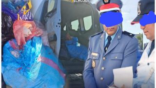 طنجة : الدرك الملكي لكزناية يحبط شبكة اجرامية لتوزيع اللحوم الفاسدة ، منها لحوم الحمير والدجاج.