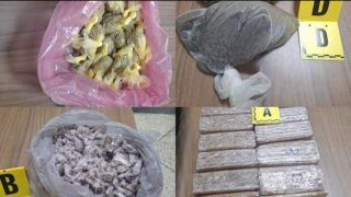 أمن بني مكادة بطنجة يطيح بمروجي المخدرات بحي بن كيران ويحجز كميات مهمة من المخدرات.