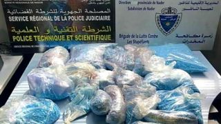 إحباط محاولة تهريب أزيد من 76 ألف قرص مهلوس بميناء الناظور وتوقيف مشتبه به