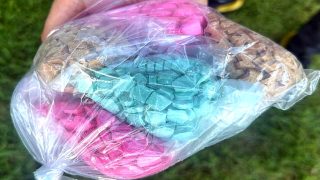 طنجة.. حجز 1000 قرص “إكستازي” وكوكايين بحوزة مروج يبلغ 19 سنة