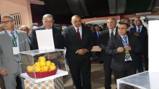 ميدلت: انطلاقة الملتقى الوطني للتفاح في دورته الخامسة تحت الرعاية السامية للملك محمد السادس