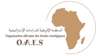 المنظمة الإفريقية للدراسات الإستراتيجية تُطالب بتفعيل المجلس الاستشاري للشباب والعمل الجمعوي