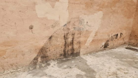 تشويهات تصيب أسوار الدار الكبيرة بكتابات غير حضارية ولا مسؤولة.