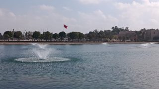 نباتات تطفو على سطح صهريج السواني والحلول الممكنة لكي لا تعفن مياهه.