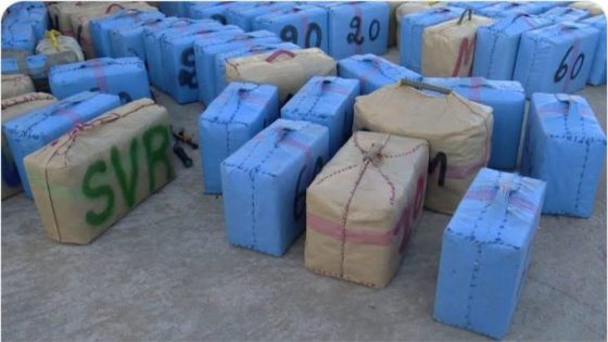 الدرك الملكي بسيدي إفني يُحبط تهريب طن من الشيرا ويُفكك شبكة باستعمال سيارات رباعية الدفع وسلاح ناري