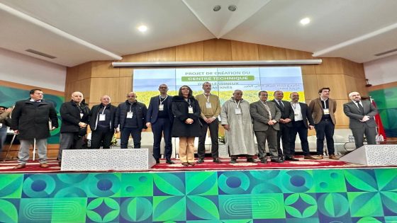 المركز التقني للحبوب الزيتية بمكناس: رؤية جماعية جديدة لتعزيز هيكلة القطاع