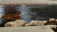 خطير مخلفات معاصر الزيتون “المرجان” باقليم الخميسات تصل وادي بهت وتهدد بكارثة بيئية