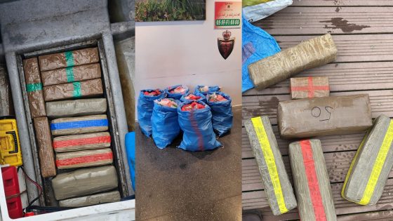 إجهاض محاولتي تهريب دولي للمخدرات بميناء مارينا طنجة وتوقيف ستة أشخاص