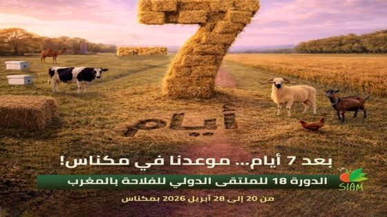 مكناس: الخطوات السريعة نحو ملتقى دولي للفلاحة بالمغرب ذي جودة وجاذبية.