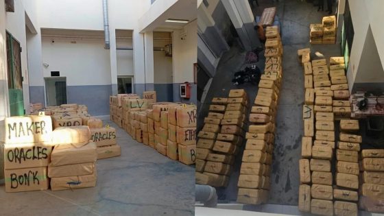 إفشال تهريب دولي ضخم للمخدرات بضواحي بوجدور.. حجز 8.6 أطنان من “الشيرا”.