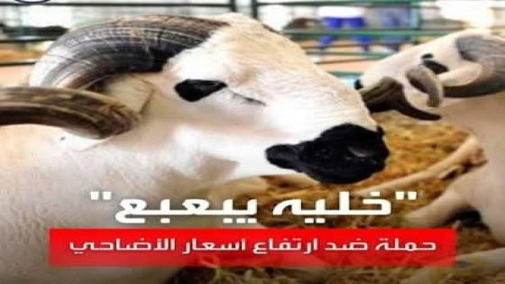 بعد تحدي لفراقشية للمغاربة بشراء اضحية العيد رغما عنهم . هل تنجح حملة المقاطعة الاخيرة ؟ 