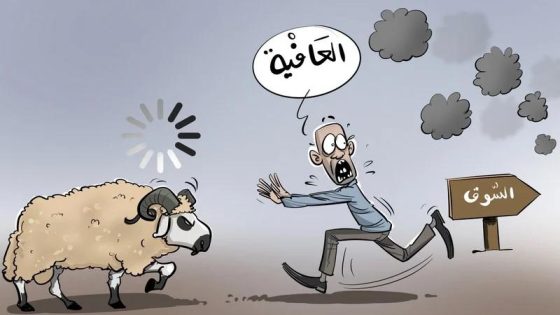 بين الغلاء والسخرية.. المغاربة يواجهون أسعار الأضاحي بحملات رقمية غاضبة
