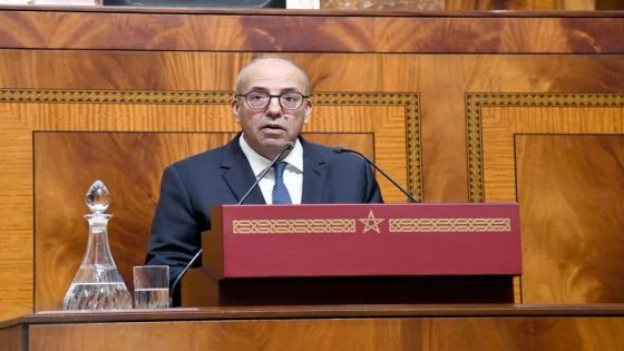 من داخل البرلمان.. وزير الفلاحة يطمئن الأسر المغربية بشأن توفر الأضاحي