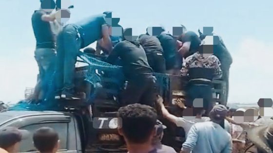 سوق صوريا بمكناس يثير الجدل صباحا.. اختفاء القطيع يربك المواطنين