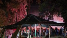 مهرجان إفران الدولي يحقق التفرد والتميز الجهوي والوطني والدولي.